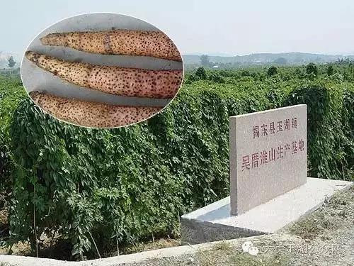 舌尖上的玉湖
